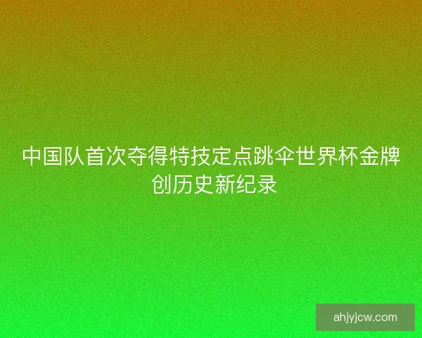 中国队首次夺得特技定点跳伞世界杯金牌 创历史新纪录